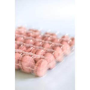 Vend Exchange Clear Plastic Macaron Containers - Fits 35 Macarons (Pack of 10)