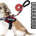 Service Dog Vest Harness and Leash Set, Animire in Training Dog Harness with 10 Dog Patches, Reflective Dog Leash with Soft Padded Handle for Small, Medium, Large, and Extra-Large Dogs (RED,XS)