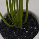 Artificial Leaf Simulation Pot Plant Realistic Looking Not Wither Geometric Shape Potted Unfading Maintenance Free Decorate Exquisite Details Fake Plant Leaf