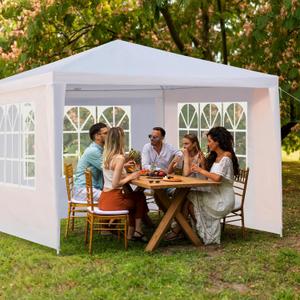 10'x10' Outdoor Canopy Party Tent, Outdoor Event Shelter, Gazebo Canopy with Removable Window Walls for Wedding Celebration Graduation Birthday