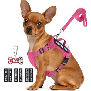 Service Dog Vest for Small Breed Dogs with ID Tag  Lightweight Puppy Harness and Leash Set with 6 PCS Patches, Ideal Service Animal Vest for Training, Complete Service Dog Gear, Hot Pink, M