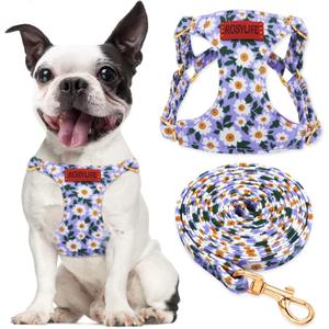 No Pull Dog Harness Adjustable Small Dog Harness and Leash Set, Lightweight and Soft Dog Harness No Choke Escape Proof Pet Harness Vest (Purple Daisy, S)