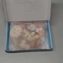 Sea Shells Mixed Beach Seashells 9 Kinds 1.2"-3.5 "Various Sizes Natural Seashells and 2 Kinds of Natural Starfish for Beach Themed Party DIY Crafts Fishtank Vase Fillers Home Wedding Decorations