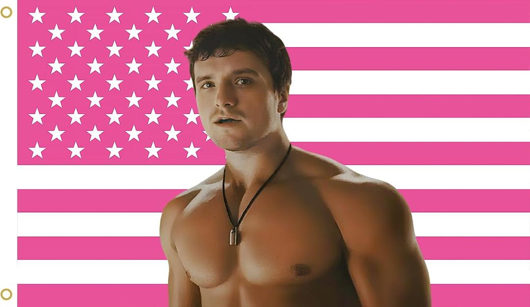 Josh American Flag Wall Tapestry, Pink Allen Wall Art Poster Fans Gift Merch, 3x5 Feet, Modern Patriotic Decor with Brass Grommets