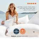 Bedsure Pillows Queen Size Set of 2 - Soft Bed Pillows for Sleeping 2 Pack, Fluffy and Supportive, Hotel Quality, Original Down Alternative Filling for Side, Back Sleepers