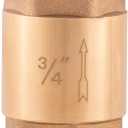 Eastman Brass In-Line Check Valve, 3/4 Inch IPS Threaded Connection, Stainless Steel Spring, 20403LF