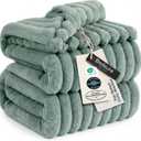 Bedsure GentleSoft Blankets Queen Size for Bed - Cozy Soft Blankets for Women, Cute Large Fleece Throws for Girls, Sage Green, 90x90 Inches