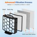 6 Foam Filter + 2 Hepa Filter Replacement for Shark ZU62 ZU60 NV255 NV150 NV251 NV151 Navigator Rotator Pet Pro Upright Vacuum Part 1238FT60 1239FT60