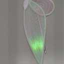 quescu Fairy Wings for Adults,Butterfly Wings for Girls,Angel Wings,Fairy Costume for Women Halloween Dress Up Party Favor (White)