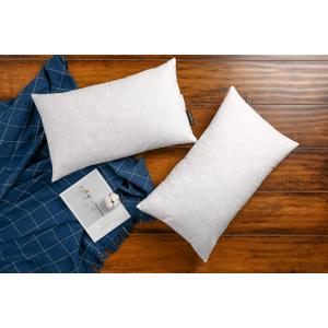 JA COMFORTS 12x20 Premium Goose Down Feather Throw Pillow Inserts(Set of 2)-5% Down Filling,High Filling Weight,250 TC Cotton Cover, Square, White