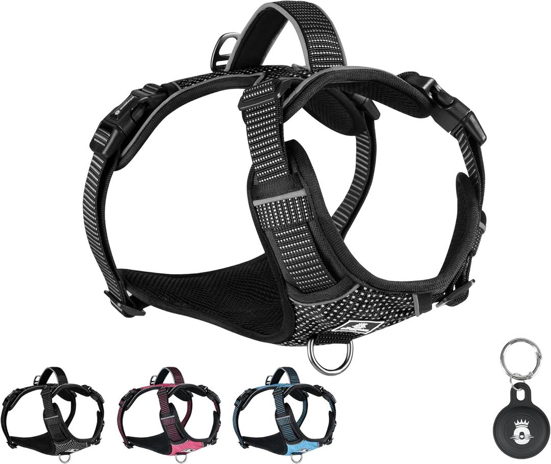 No Pull Dog Harness for Small Dogs – Soft Padded Reflective Oxford Vest, 2 Leash Clips, Adjustable Lightweight Fit, Black (S, Black)