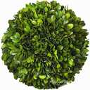 Boxwood Decorative Ball Preserved Real Boxwood Leaves Green Plants Home Decors for Christmas Thanksgiving Days Gifts Stay Fresh for Years Indoor Use Only (Small Ball, 6 inch)