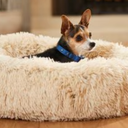 JOLLYVOGUE Calming Dog Bed for Small Dogs 23 inches Donut Washable Small Dog Bed for Kittens & Puppies, Anti Slip Round Fluffy Plush Faux Fur Cat Beds (Fits up to 25 lbs Pets, Off White)