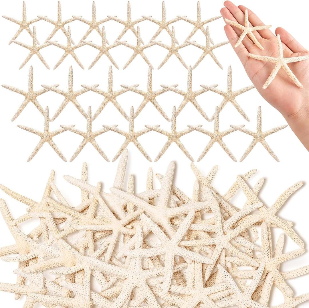 24 Pcs Starfish for Crafts, 2'' to 4'' Star Fish Shells Decorations, Natural Starfish Decor Bulk for Beach Theme DIY Crafts Christmas Tree Ornaments