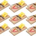 Victor M205-9 Wide Plastic Pedal Sustainably Sourced FSC Wood Humane Snap Rat Traps - 9 Wooden Traps