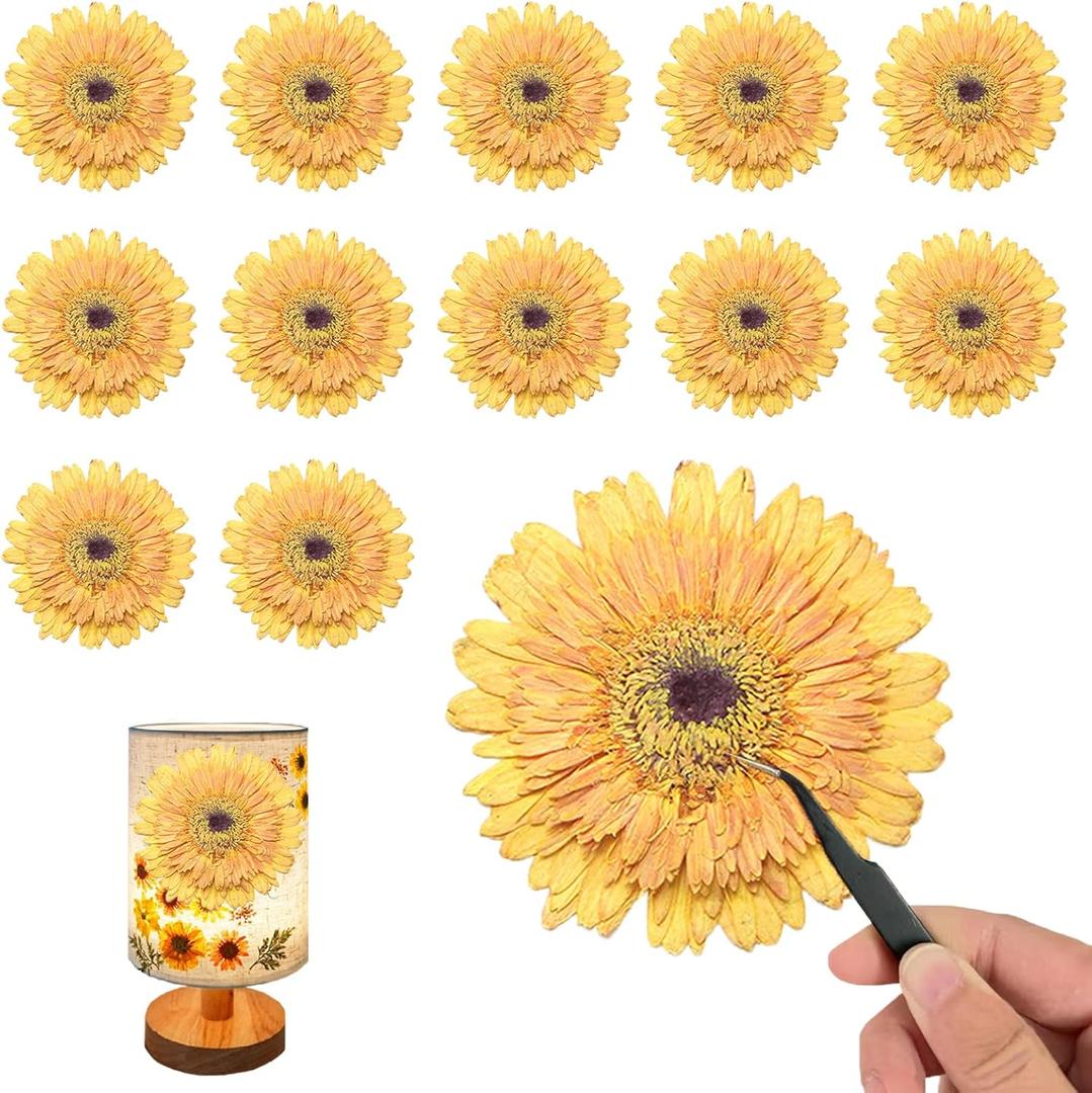 ALJ Large Size Golden Yellow Dried Sunflowers for Crafts Embellishment, Natural Real Pressed African Daisy for Resin DIY Jewellery Candle Making Phone Case Home Wedding Decor (3.14-3.54IN)
