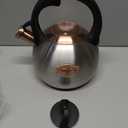 3.1 Quart Teal Whistling Tea Kettle for Stove Top, Food Grade Stainless Steel (Silver)