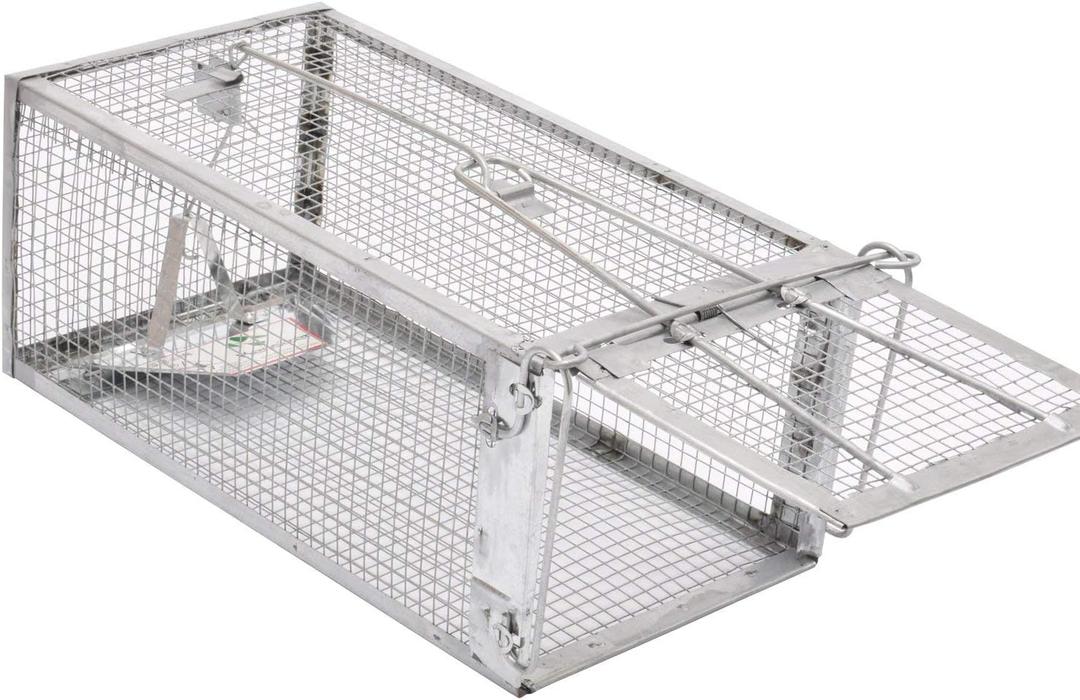 Kensizer Humane Rat Trap, Chipmunk Rodent Trap that Work for Indoor and Outdoor Small Animal - Mouse Voles Hamsters Live Cage Catch and Release 1-Pack Small 10.5" L x 5.5" W x 4.5" H