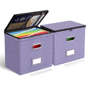 Oterri File Organizer Boxes with Lids, File Box with Mesh Pockets, Document Organizer Box for Letter Size Folders, Zippers Important Document Organizer (Light Purple, Small-2 Pack Without Folders)