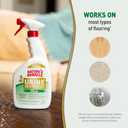 Natures Miracle Urine Destroyer Plus Cat, 32 Ounces,Unscented, Enzymatic Formula, Ready-to-Use (32 Fl Oz (Pack of 1))