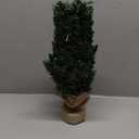 Pre-Lit Artificial Mini Christmas Tree,20 inch Small Pine Xmas Tree with 40 LED Lights,70 Branch Tips,Battery Operated Tabletop Christmas Tree Burlap Base-(50cm)