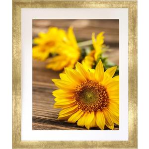 EVQUIT 14x17 Wall Picture frame with 11x14 mat, Gold Gallery Photo Frame for Horizontal or Vertical Display