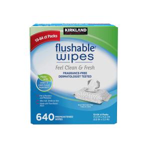 Kirkland Signature Premoistened Flushable Wipes, Fragrance Free, 640 Count (1 Count (Pack of 640))