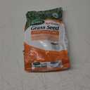 HI-TRAFFIC GRASS SEED 3#