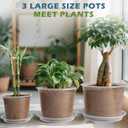 6/8/10 Inch Large Size Clear Nursery Pots with Drainage and Saucers, 9 Pack Plastic Plant Pots for Seedling Starter, Durable Plastic Pots for Indoors