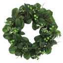 HD Designs24 Inc Magnolia Leaves/Berry Wreath