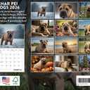 Shar Pei Calendar 2026 Wall 12 Month Monthly Shar Peis Gifts For Shar Pei Lovers Women Men Mom Dad | American Made In The USA