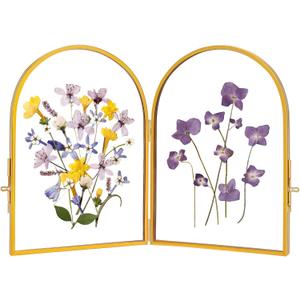 REDHUGO Double Glass Frame for Pressed Flowers Handmade, Pressed Flower Frame, Hinged Tabletop Brass Photo Frames, Dried Flower Display Folding Picture Frame for Home, ArcShaped, Gold, 57 Inches