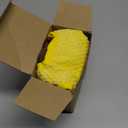 Dog Toys 3-Pack Cute Duck Shapes Puppy Toys No-Stuffing Squeaky and Crinkle Interactive Dog Chew Toy for Small to Large Breeds