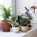 Garutom Galvanized Watering Can for Outdoor Indoor Plants, 1 Gallon Decorative Countryside Style Water Can with Removable Spout, Perfect Metal Watering Can for Indoor Plants and Garden Flower