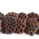 NWFashion 10PCS/Package Artificial Dried Brwon Lotus Pods Without Seed and Stems(8-10CM)