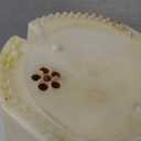 Carter Electric Fuel Pump Module Assembly Automotive Replacement Compatible with Audi A3, TT, Volkswagen Caddy, Eos, GTI, Beetle, Jetta Models (P76493M)