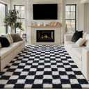 Checkered Rug 8x10 for Living Room, Black and White Modern Shag Rug Washable Non-Slip Large Area Rug Super Soft Indoor Fuzzy Carpet Fluffy Rugs for Bedroom Home Aesthetic Decor