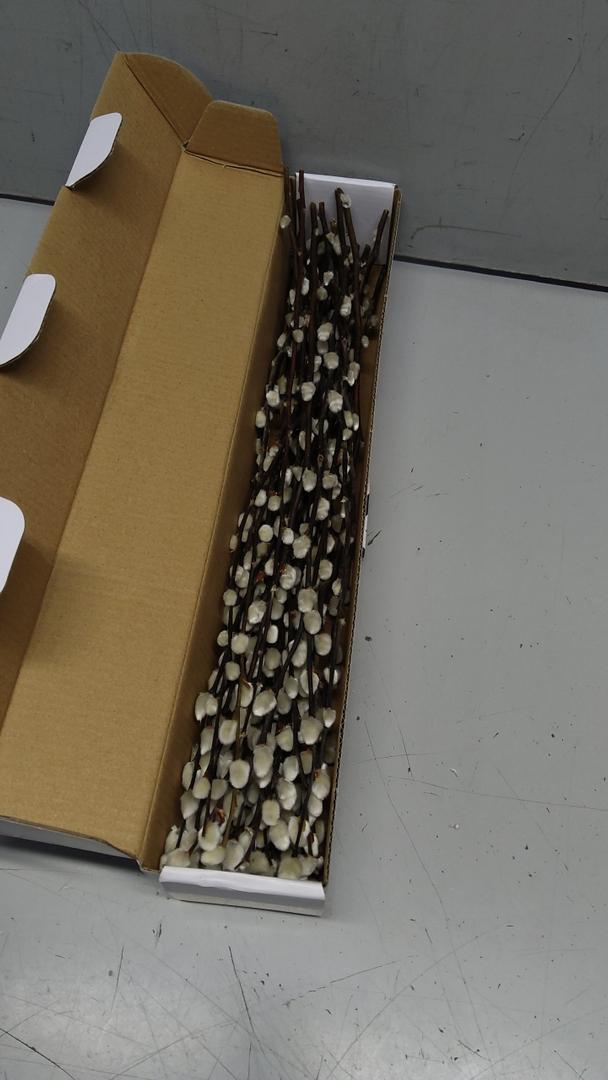 Natural Preserved Dried Flowers Pussy Willow Branches for Vases Stems Real Willows White Snow Pussywillows for Indoor and Outdoor Decor Wedding Home Party Hotel Fireplace Easter