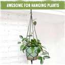 Self-Watering Pots for Indoor Plants 4 Pack, 6/8/10/12 Inch Outdoor Planters with Water Level Indicator&Deep Reservoir, Decorative Flower Pots for Indoor Plants,Home Decor (Green, 12+10+8+6 inch)