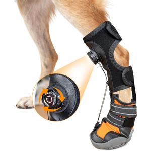 No Knuckling Brace for Dogs - Drop Foot Support with Adjustable Reel, Corrective Outdoor Pet Shoes - Helps Lift Toes for Nerve Conditions, Arthritis & Mobility Issues, Size S