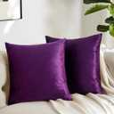 GIGIZAZA Purple Decorative Velvet Decorative 20x20 Throw Pillow Covers for Sofa Bed 2 Pack Soft Cushion Cover