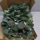20 PCS Candle Rings - Artificial Eucalyptus Leaves Candle Wreaths Greenery for Pillar Fireplace Wedding Table Centerpieces Farmhouse Home Kitchen Decor