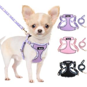 Lukovee No Pull Puppy Harness and Leash Set - Soft Lightweight Escape Proof Puppy Vest Harness, Breathable Adjustable Pet Harness with Dog Leash for Dogs (Purple, XXS) 