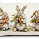 AOFANGGO Easter Pillow Cover 12X20 Inch Bunnies Eatting Carrots Rabbits Decorations Holiday Farmhouse Decorative Spring Pillow Case for Home Sofa Couch