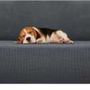 ZNSAYOTX Stretch Oversized Couch Cover Universal Sofa Covers for Living Room Dogs Pet Furniture Protector Spandex Extra Large Sofa Slipcovers with Anti Slip Foam Sticks (Dark Grey, XL Sofa)