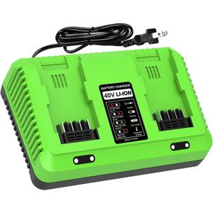 Powilling 40V Dual-Port Replacement for Greenworks Battery Charger,Fits 29482 29252 20202 22262 29472 29462 40V G-MAX Battery