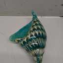 Qf Hand Blown Seashell, Beautiful Home Decor, Handmade Glass Art, Glass Conch