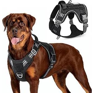 rabbitgoo Tactical Dog Harness for Large Dogs, No Pull Military Service Vest with Handle & Molle, Easy Control for Training Walking, Adjustable Reflective Straps, Green, XL