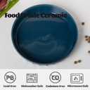 Fun Elements Shallow Dog Bowls, 10.5" Ceramic Large Food Plate for Small, Medium and Large Breeds, Non-Slip, Flat and Wide, Dishwasher Safe, Suitable for Dogs and Cats (Blue)