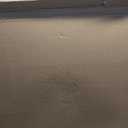 Spectra Premium GM26C Fuel Tank